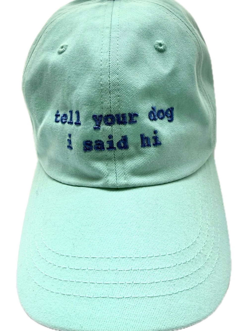 “Tell your dog I said hi”Embroidered Baseball Cap - Mint/light blue.
